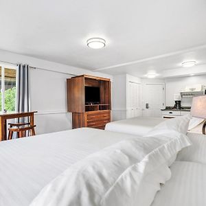Studio Two King Beds